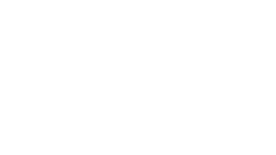 Slick Revolution Logo i Sverige
